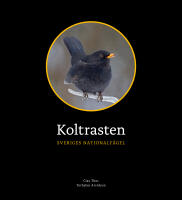 Koltrasten : Sveriges Nationalf&aring;gel