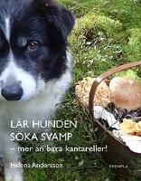 L&auml;r hunden s&ouml;ka svamp - mer &auml;n bara kantareller!